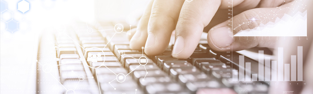 الإجازة في حوسبة الأعمال